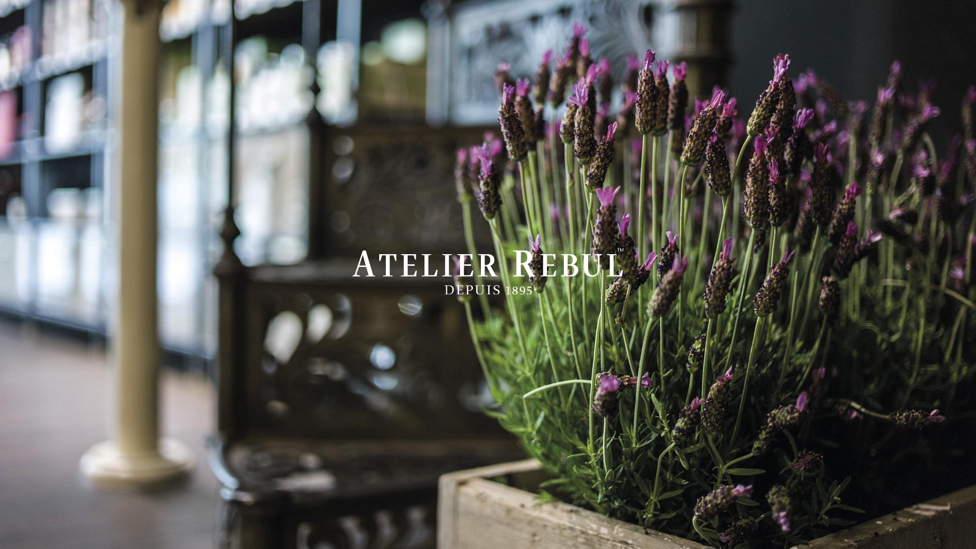 blomsterbed i trækasse med Atelier Rebul logo i front og sløret billede af butikken i baggrunden