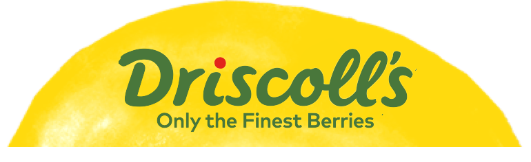 logo-driscolls-texture