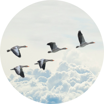 iStock-162844318